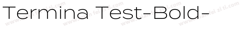 Termina Test-Bold字体转换